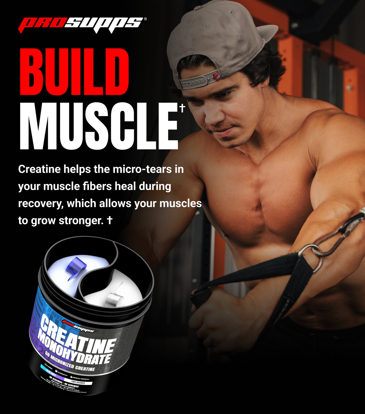 Creatine Monohydrate Dual Tub