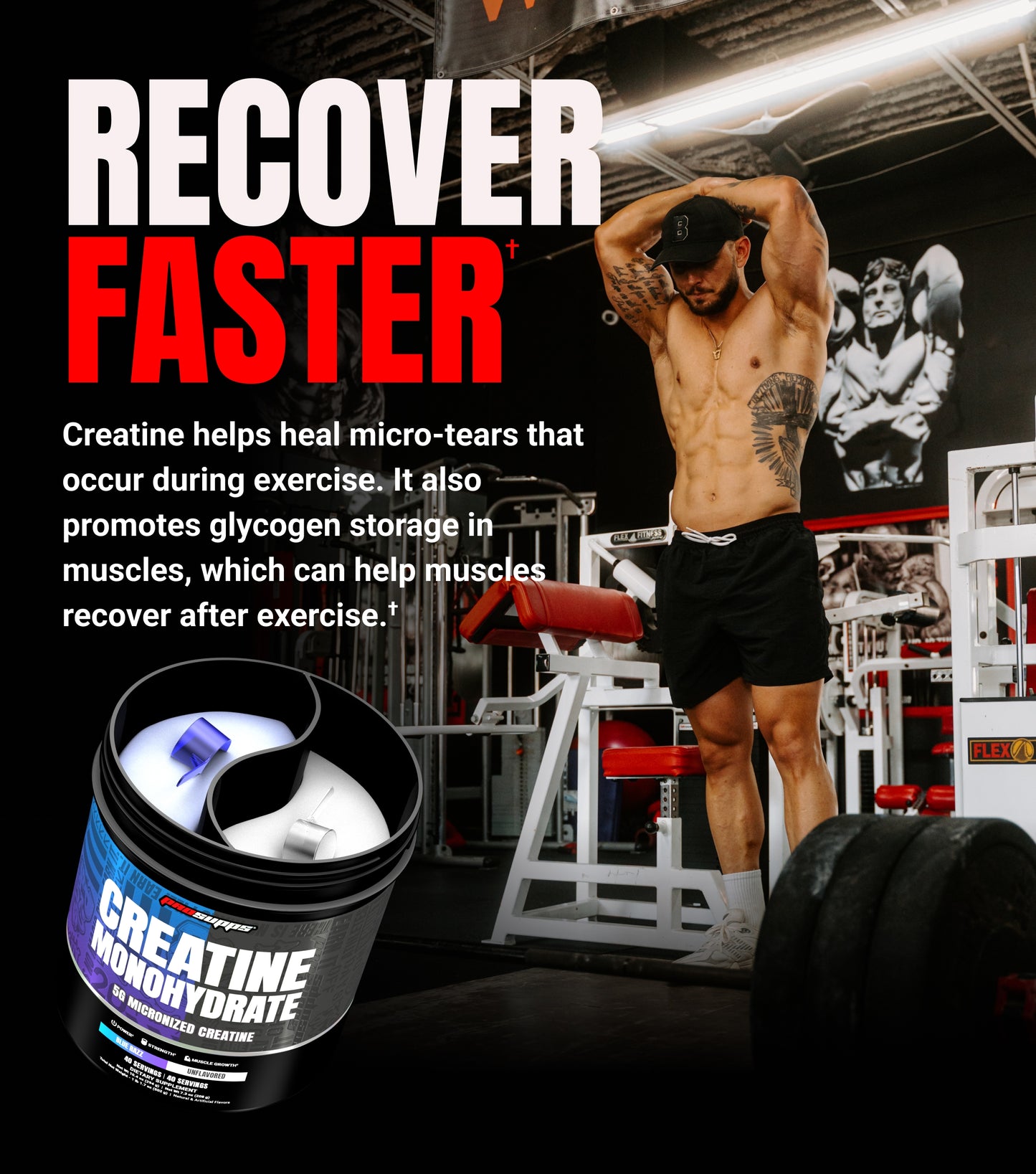 Creatine Monohydrate Dual Tub