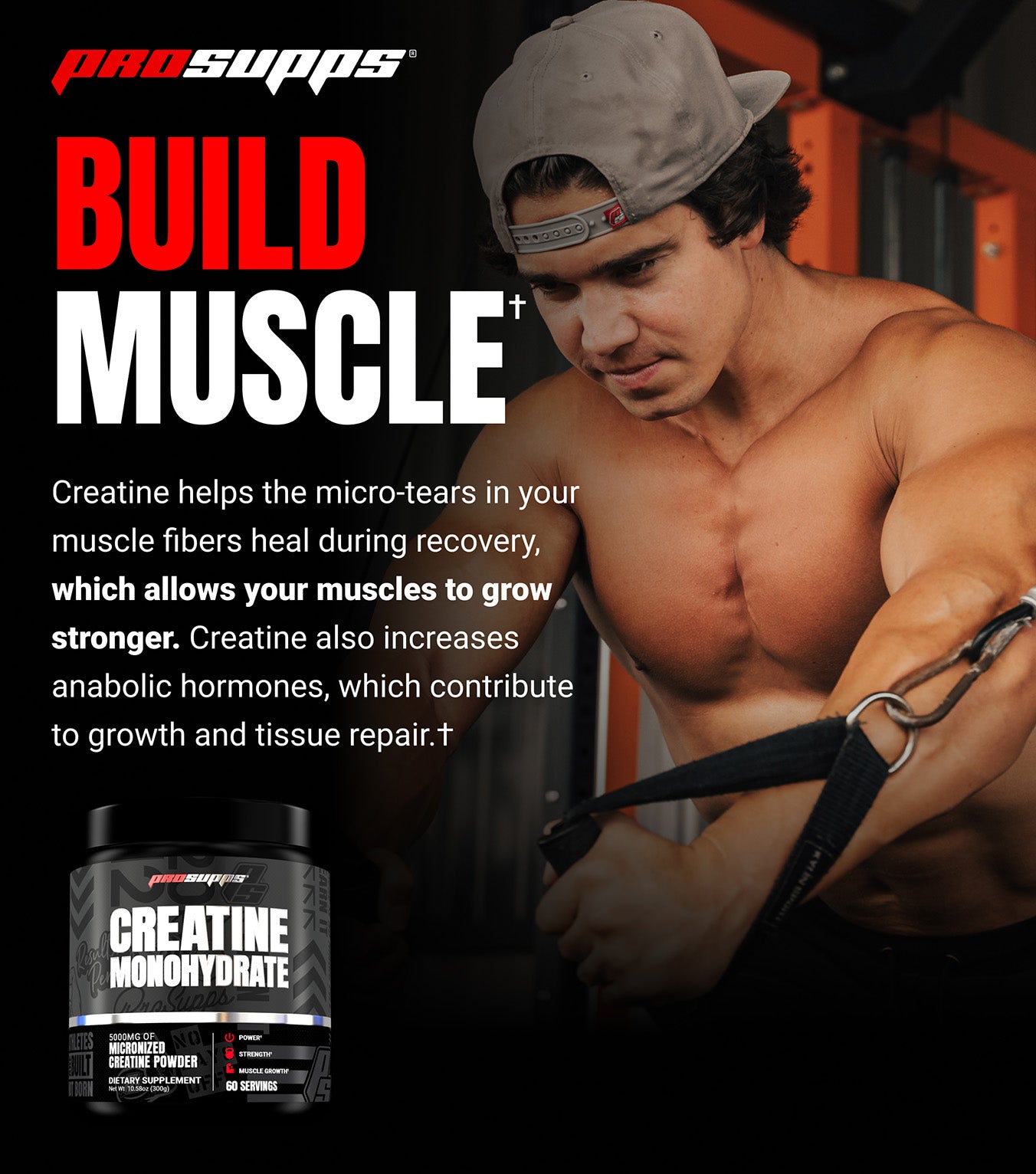 Creatine Monohydrate