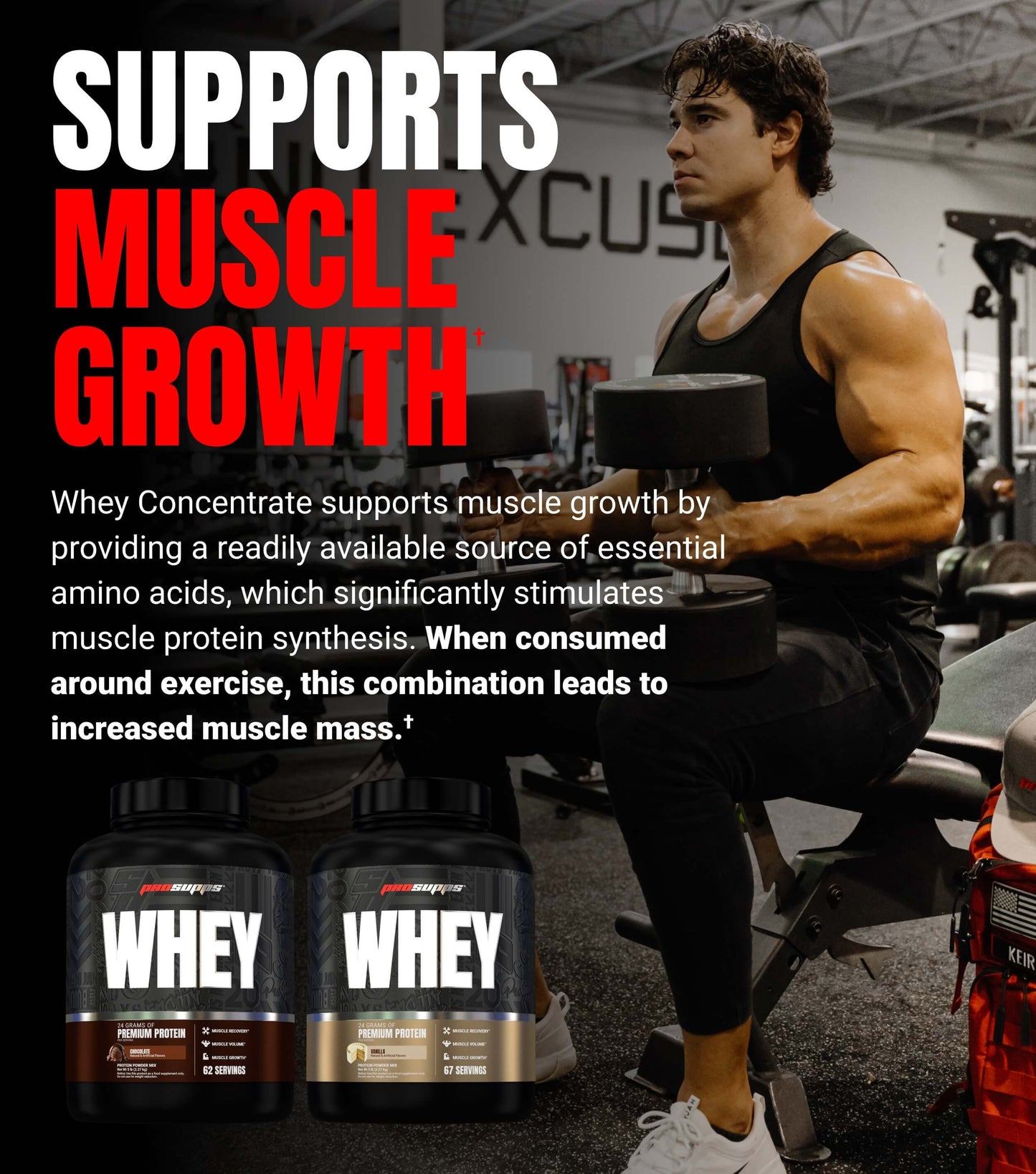 Whey Protein