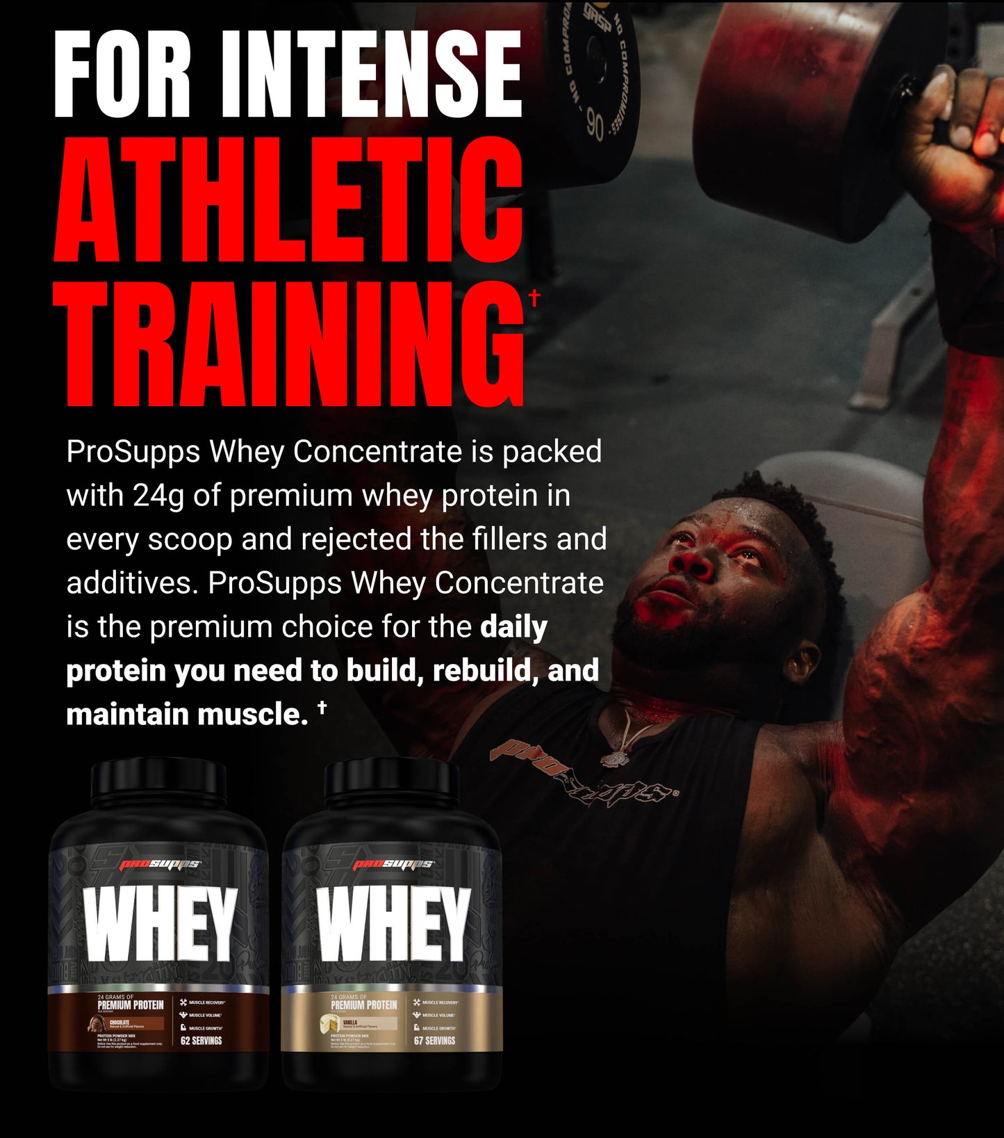Whey Protein