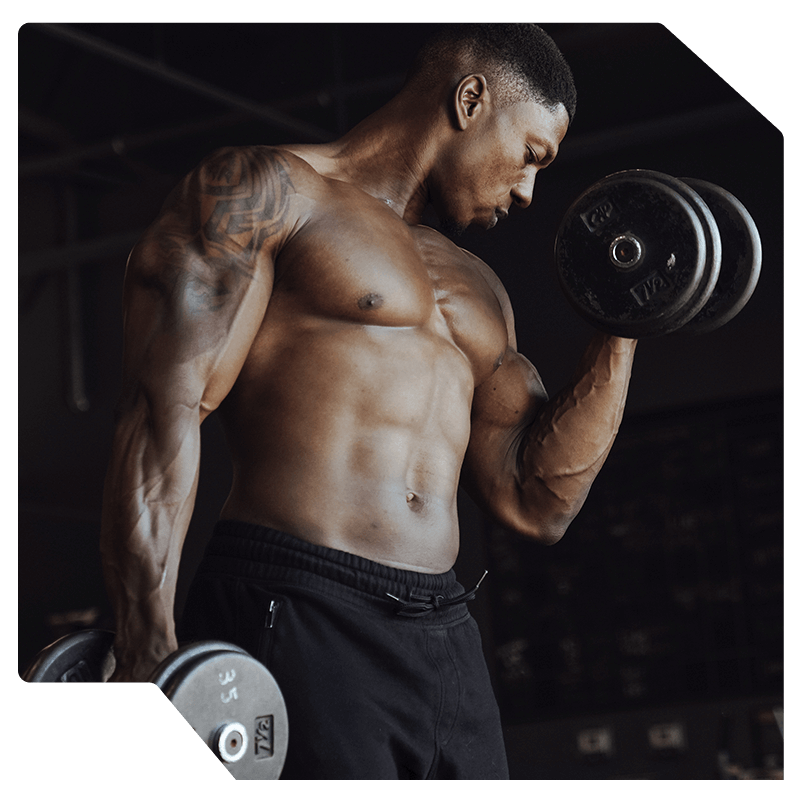 gid://shopify/MediaImage/29351707279545