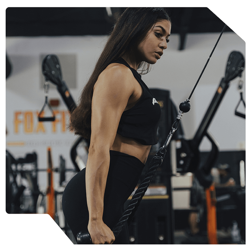 gid://shopify/MediaImage/29351829635257