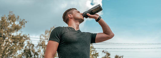 Everything You Need To Know About Plant-Based Proteins