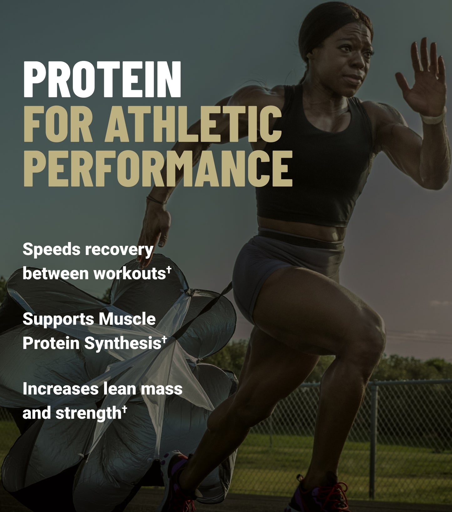 Ghirardelli x ProSupps Whey Protein