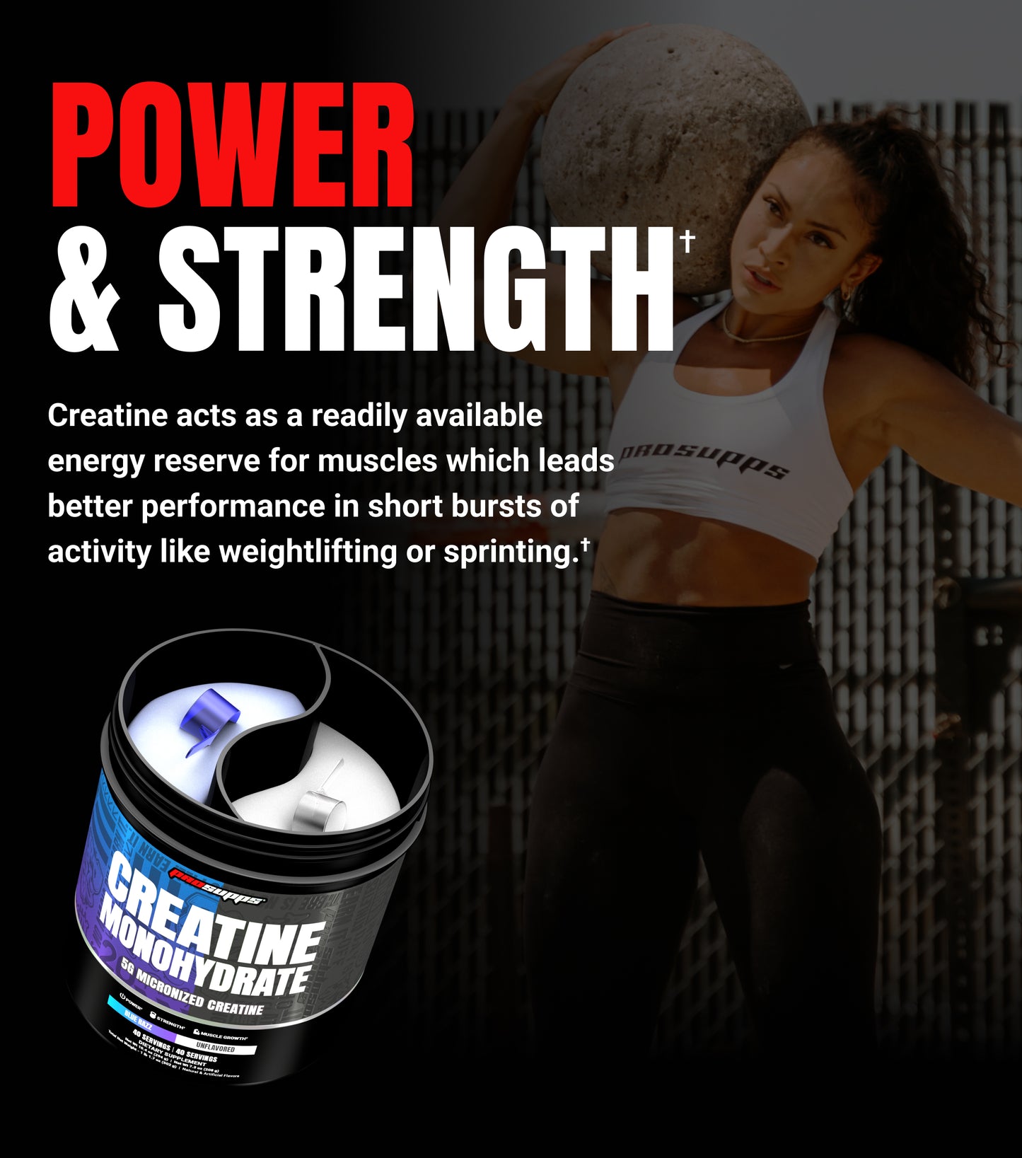 Creatine Monohydrate Dual Tub