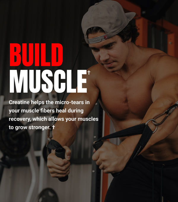 Creatine Monohydrate Dual Tub
