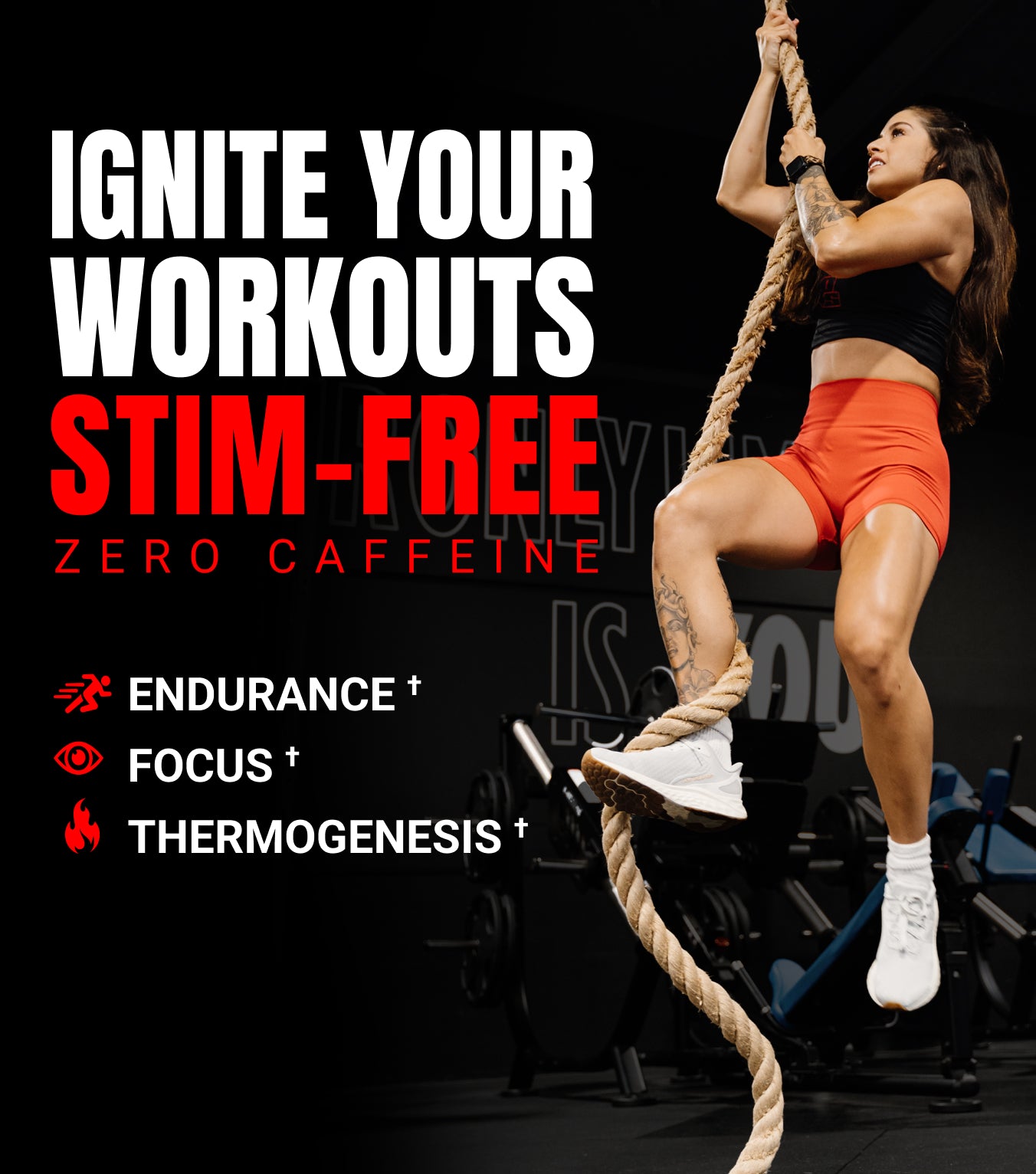 Dr. JEKYLL Signature