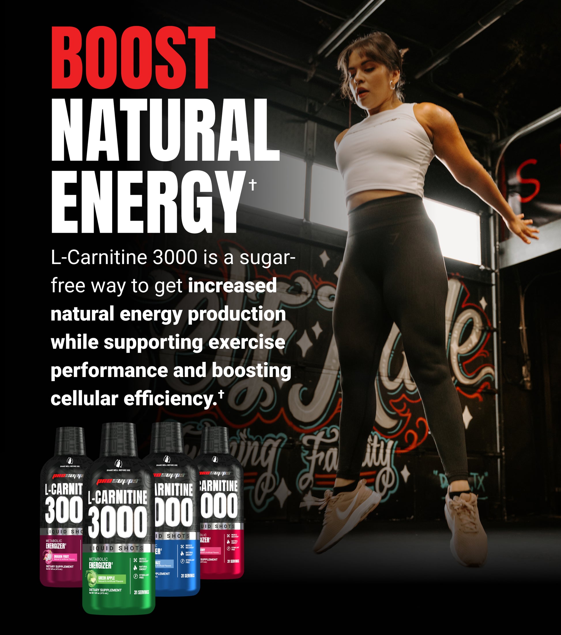 L-Carnitine L-Carnitine