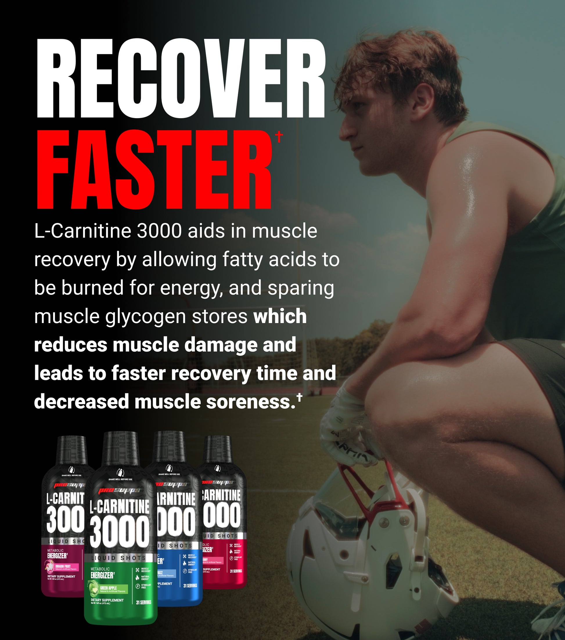 L-Carnitine L-Carnitine