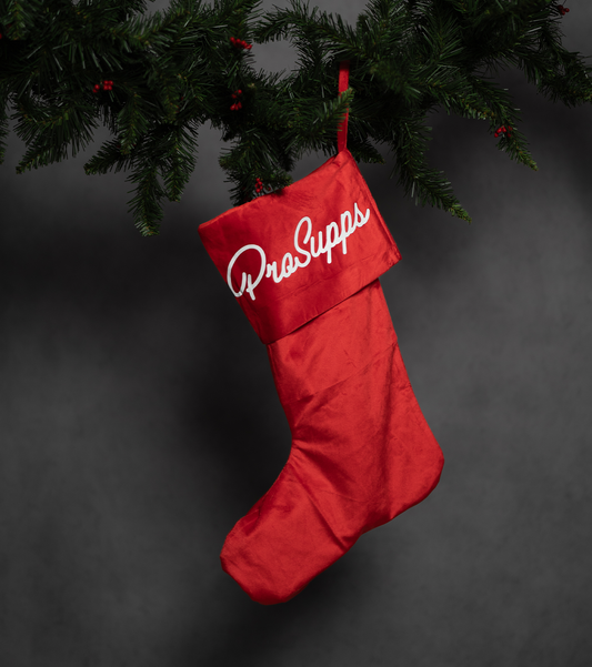 STUFFED Christmas Stocking