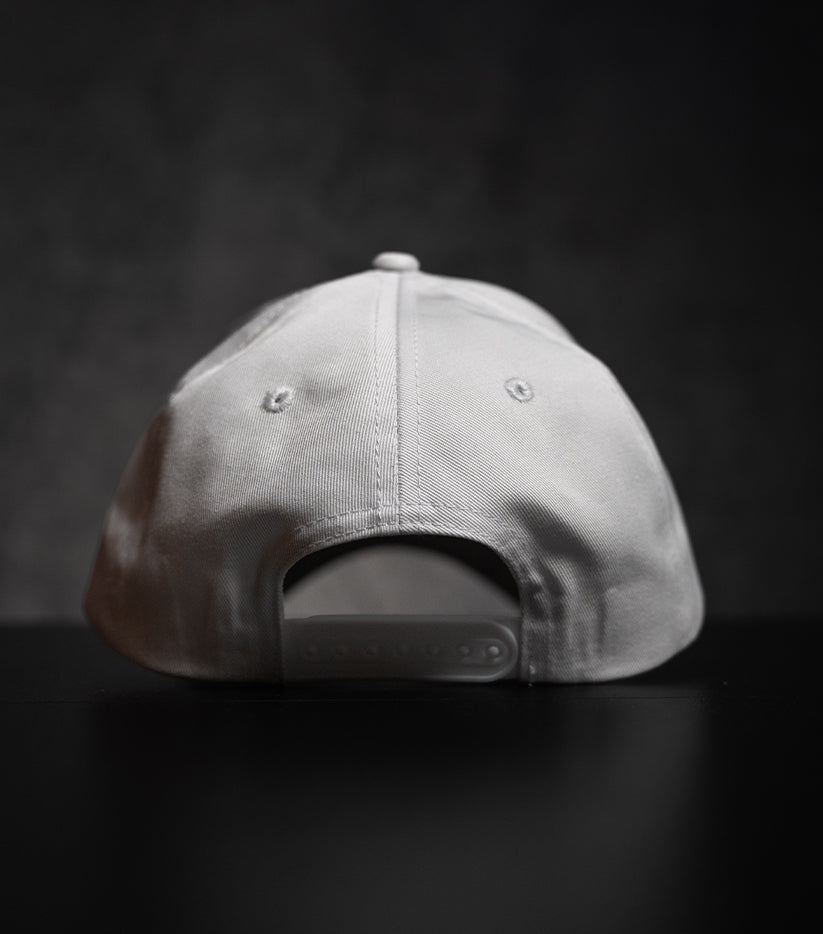 ionIQ Baseball Cap